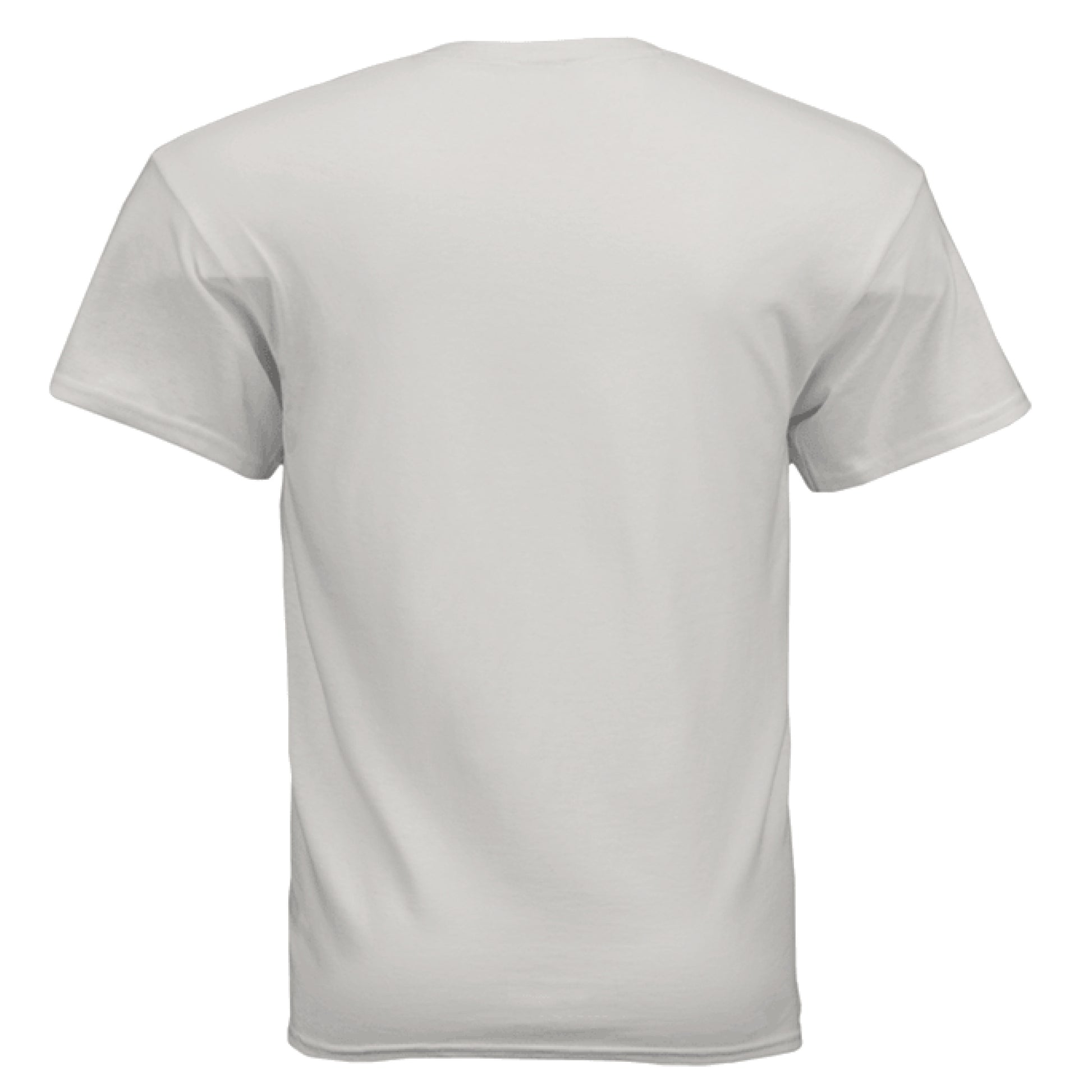ICE GREY - BACK